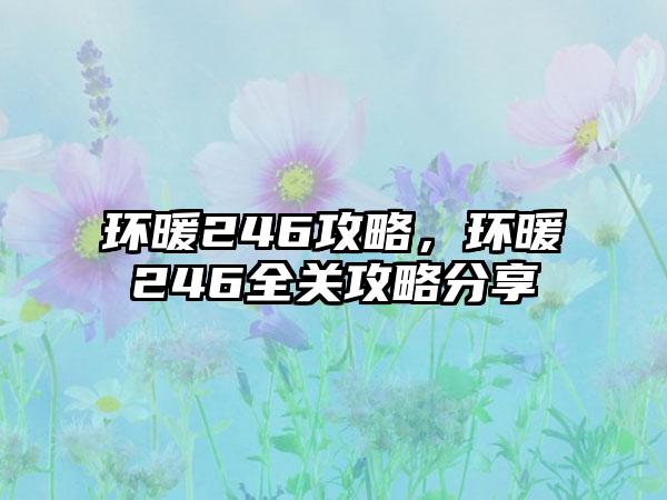 环暖246攻略，环暖246全关攻略分享