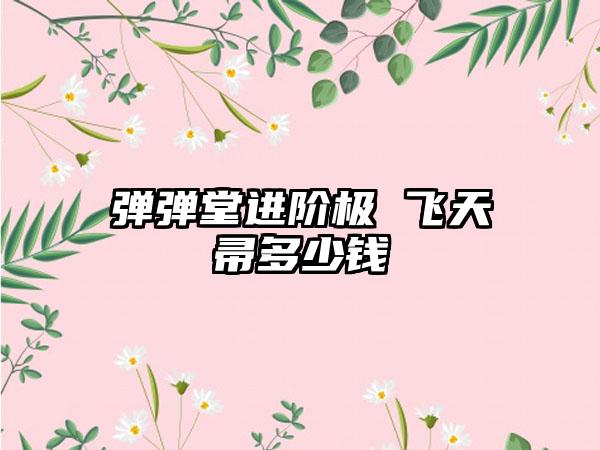 弹弹堂进阶极 飞天帚多少钱