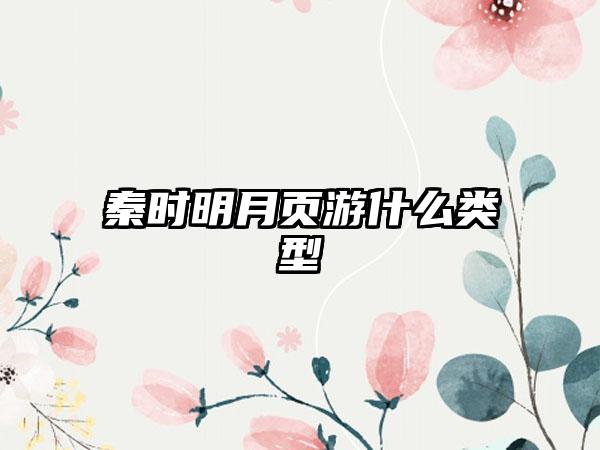 秦时明月页游什么类型