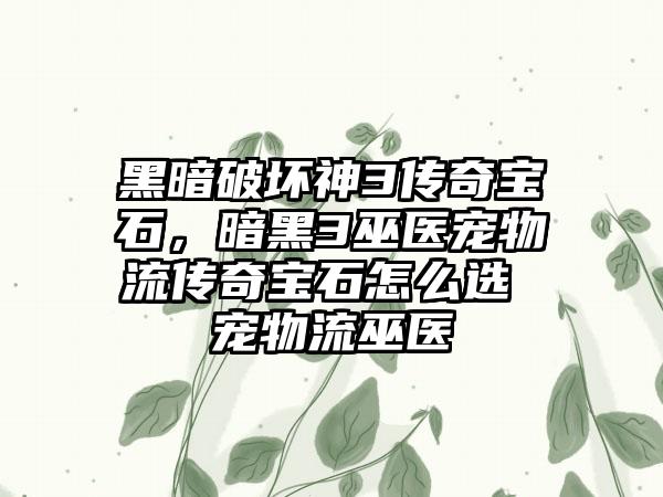黑暗破坏神3传奇宝石，暗黑3巫医宠物流传奇宝石怎么选 宠物流巫医