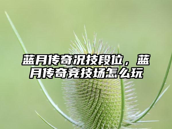 蓝月传奇况技段位，蓝月传奇竞技场怎么玩
