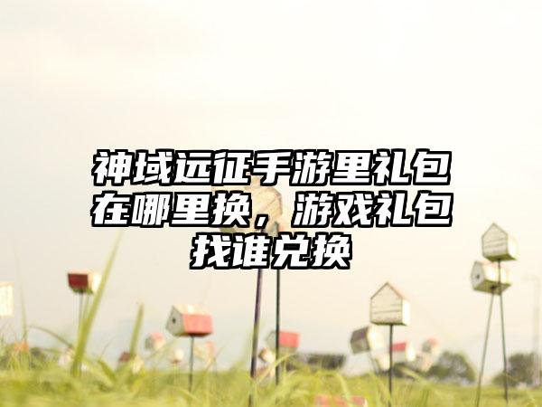 神域远征手游里礼包在哪里换，游戏礼包找谁兑换