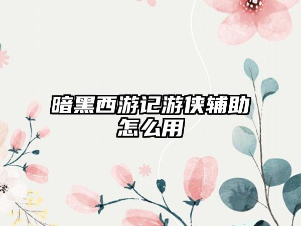 暗黑西游记游侠辅助怎么用
