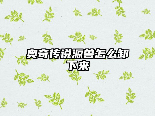 奥奇传说源兽怎么卸下来