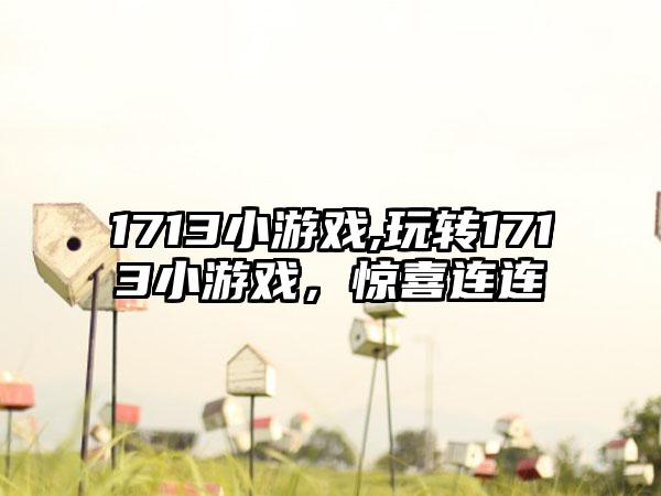 1713小游戏,玩转1713小游戏，惊喜连连