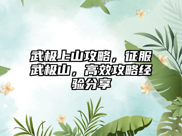武极上山攻略，征服武极山，高效攻略经验分享