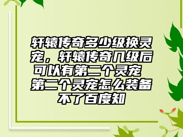 轩辕传奇多少级换灵宠，轩辕传奇几级后可以有第二个灵宠 第二个灵宠怎么装备不了百度知