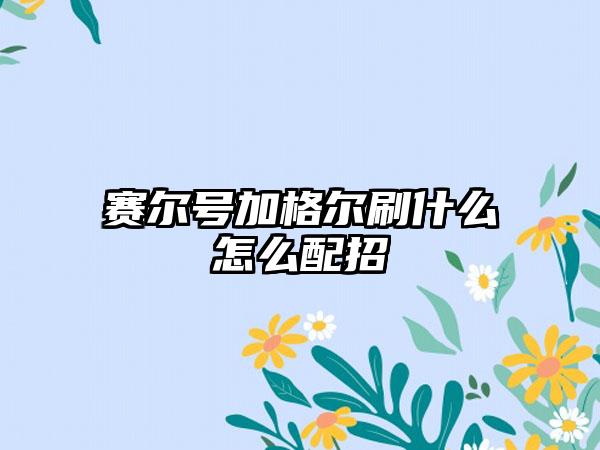 赛尔号加格尔刷什么怎么配招