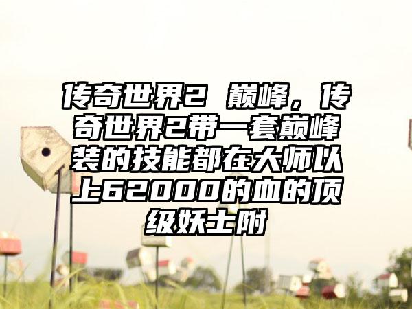 传奇世界2 巅峰，传奇世界2带一套巅峰装的技能都在大师以上62000的血的顶级妖士附