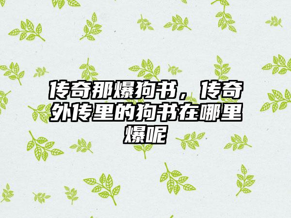 传奇那爆狗书，传奇外传里的狗书在哪里爆呢
