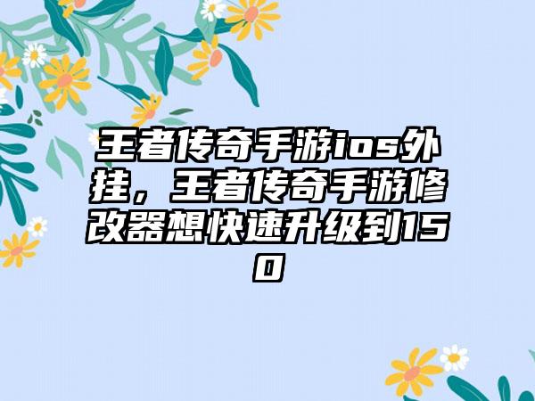 王者传奇手游ios外挂，王者传奇手游修改器想快速升级到150