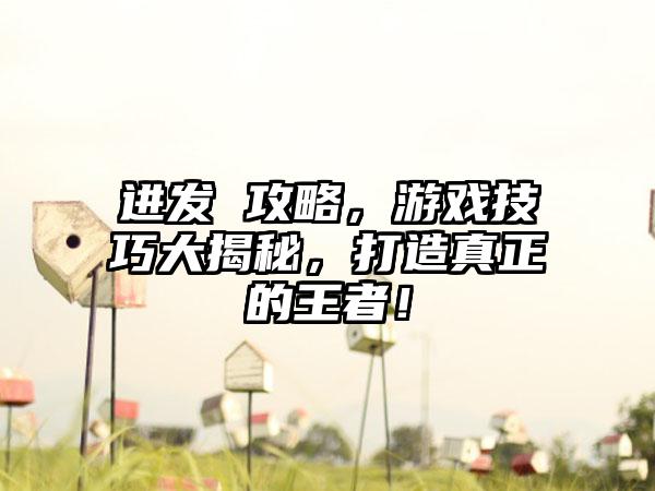 进发 攻略，游戏技巧大揭秘，打造真正的王者！