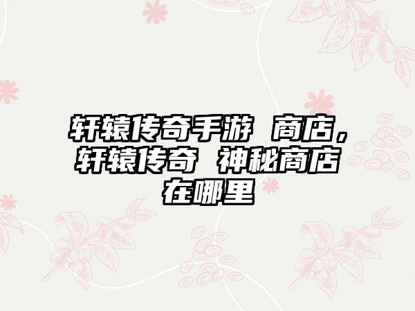 轩辕传奇手游 商店，轩辕传奇 神秘商店在哪里