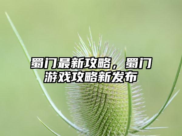 蜀门最新攻略，蜀门游戏攻略新发布