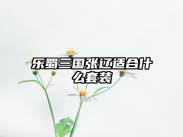 乐蜀三国张辽适合什么套装