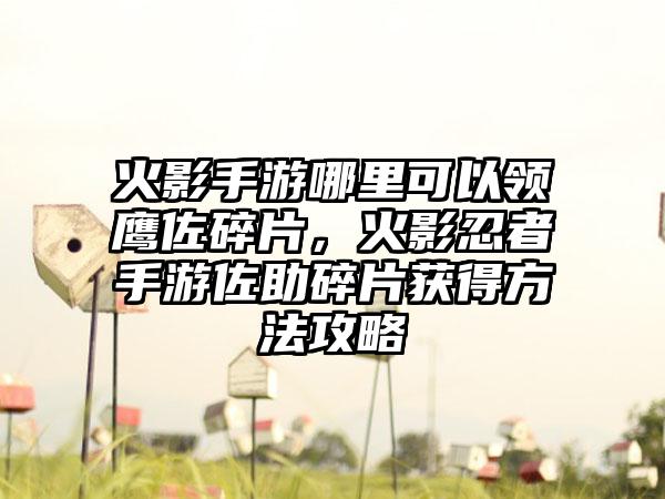 火影手游哪里可以领鹰佐碎片，火影忍者手游佐助碎片获得方法攻略