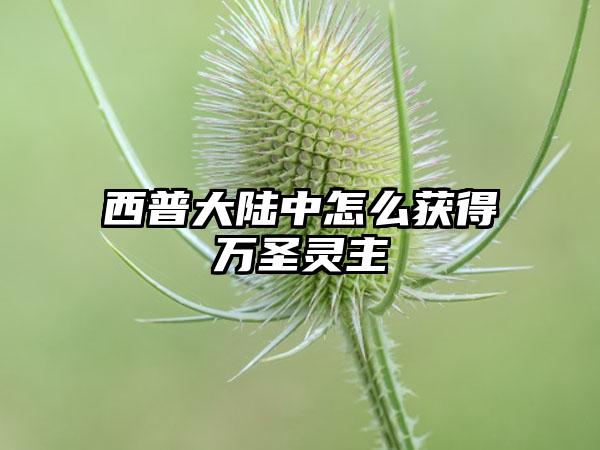 西普大陆中怎么获得万圣灵主
