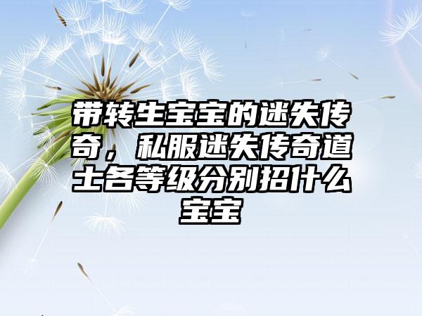带转生宝宝的迷失传奇，私服迷失传奇道士各等级分别招什么宝宝