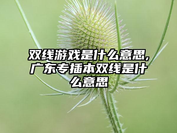 双线游戏是什么意思,广东专插本双线是什么意思
