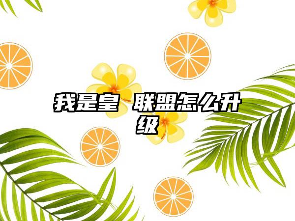 我是皇 联盟怎么升级