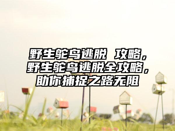 野生鸵鸟逃脱 攻略，野生鸵鸟逃脱全攻略，助你捕捉之路无阻