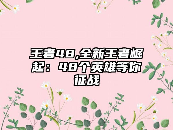 王者48,全新王者崛起：48个英雄等你征战