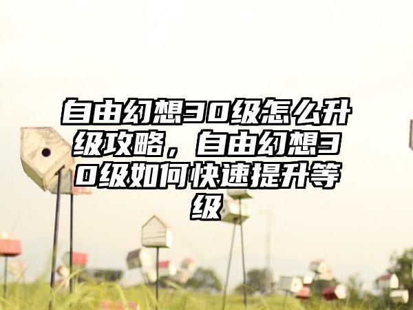自由幻想30级怎么升级攻略，自由幻想30级如何快速提升等级