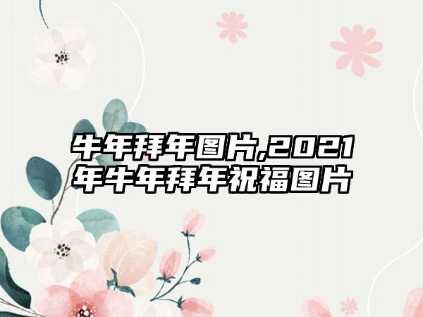 牛年拜年图片,2021年牛年拜年祝福图片