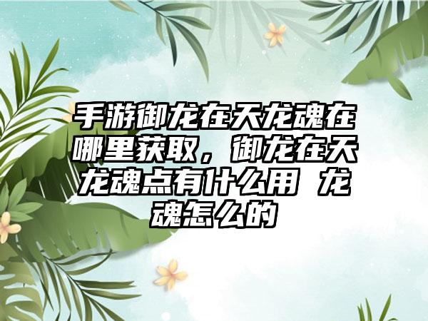 手游御龙在天龙魂在哪里获取，御龙在天龙魂点有什么用 龙魂怎么的