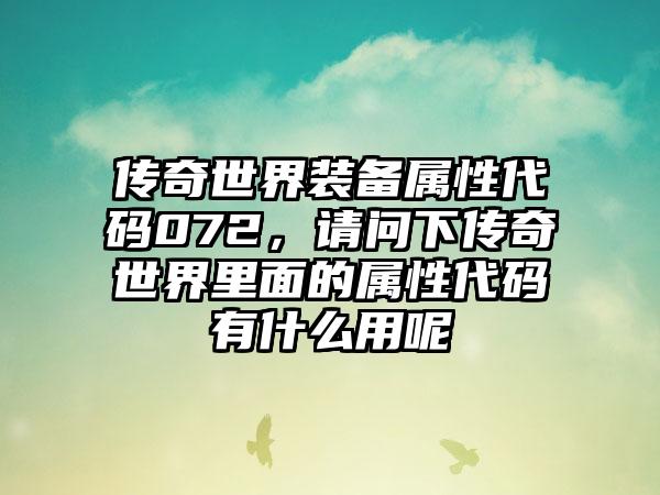 传奇世界装备属性代码072，请问下传奇世界里面的属性代码有什么用呢