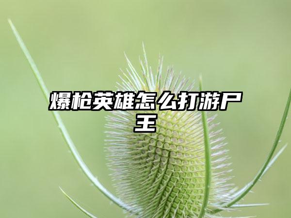 爆枪英雄怎么打游尸王