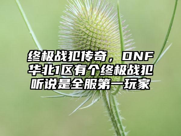 终极战犯传奇，DNF华北1区有个终极战犯听说是全服第一玩家