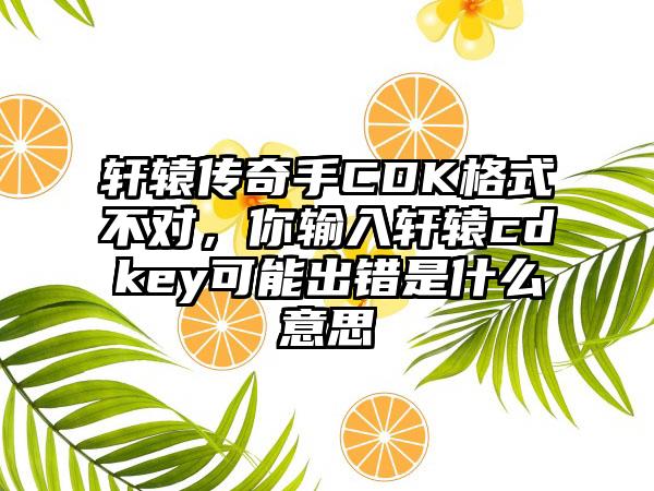 轩辕传奇手CDK格式不对，你输入轩辕cdkey可能出错是什么意思