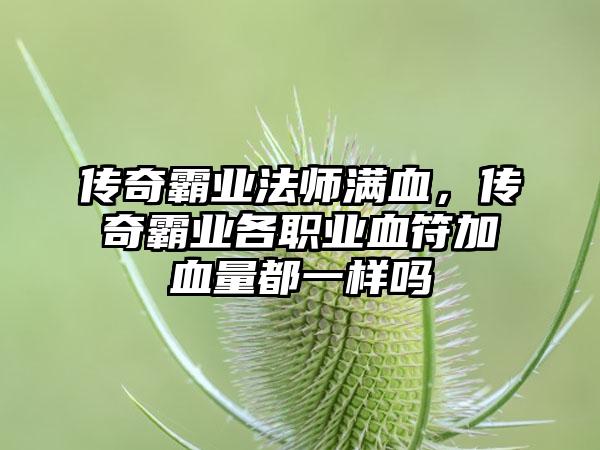 传奇霸业法师满血，传奇霸业各职业血符加血量都一样吗