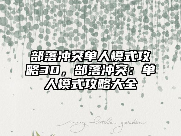 部落冲突单人模式攻略30，部落冲突：单人模式攻略大全