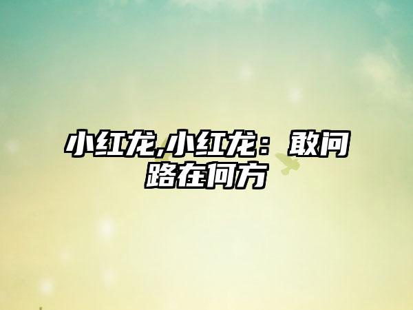 小红龙,小红龙：敢问路在何方