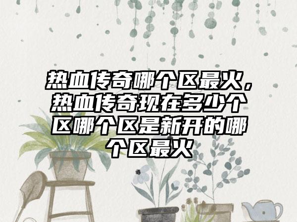 热血传奇哪个区最火，热血传奇现在多少个区哪个区是新开的哪个区最火