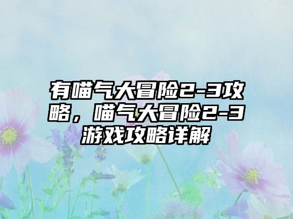 有喵气大冒险2-3攻略，喵气大冒险2-3游戏攻略详解
