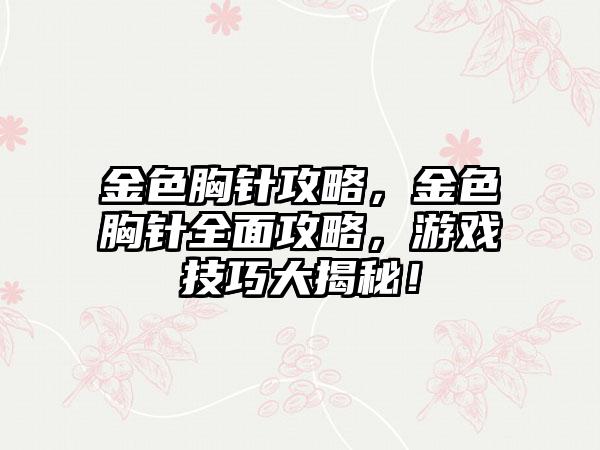 金色胸针攻略，金色胸针全面攻略，游戏技巧大揭秘！