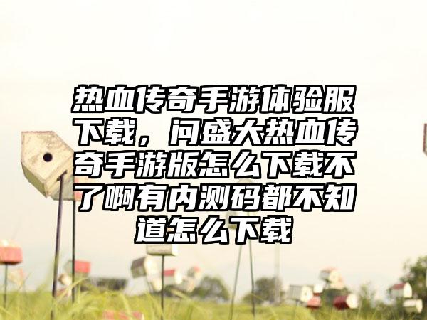 热血传奇手游体验服下载，问盛大热血传奇手游版怎么下载不了啊有内测码都不知道怎么下载
