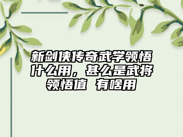 新剑侠传奇武学领悟什么用，甚么是武将领悟值 有啥用
