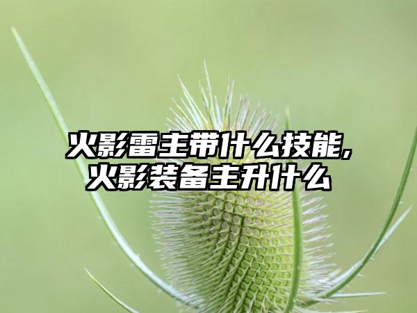 火影雷主带什么技能,火影装备主升什么