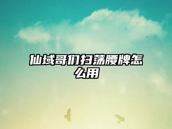 仙域哥们扫荡腰牌怎么用