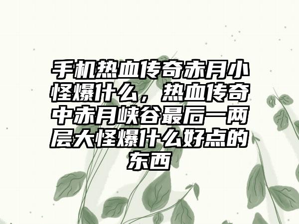 手机热血传奇赤月小怪爆什么，热血传奇中赤月峡谷最后一两层大怪爆什么好点的东西