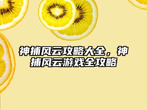 神捕风云攻略大全，神捕风云游戏全攻略