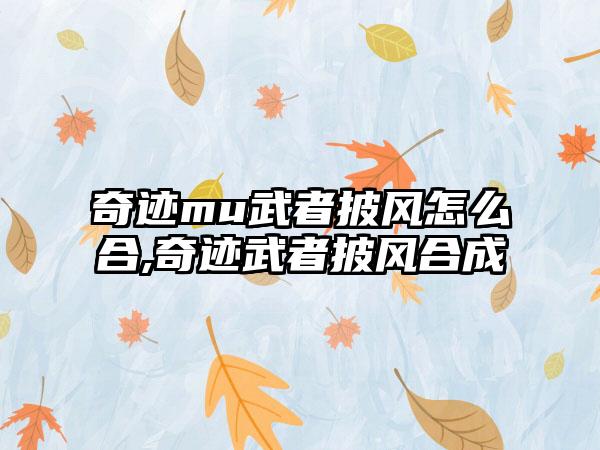 奇迹mu武者披风怎么合,奇迹武者披风合成