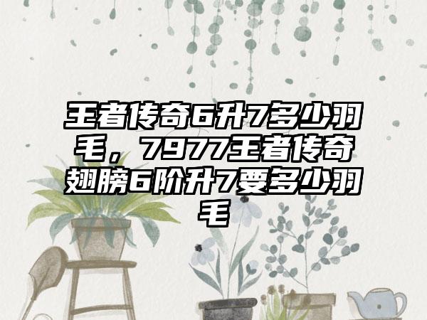 王者传奇6升7多少羽毛，7977王者传奇翅膀6阶升7要多少羽毛