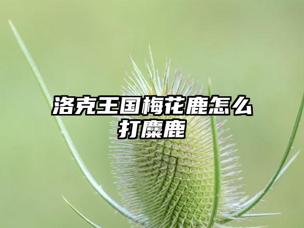 洛克王国梅花鹿怎么打麋鹿