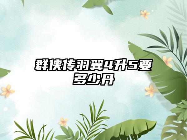 群侠传羽翼4升5要多少丹