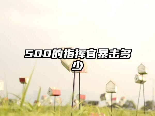 500的指挥官暴击多少